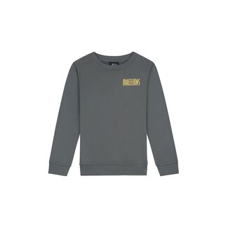 Malelions winter sweater jongens - grijs - hollywood map