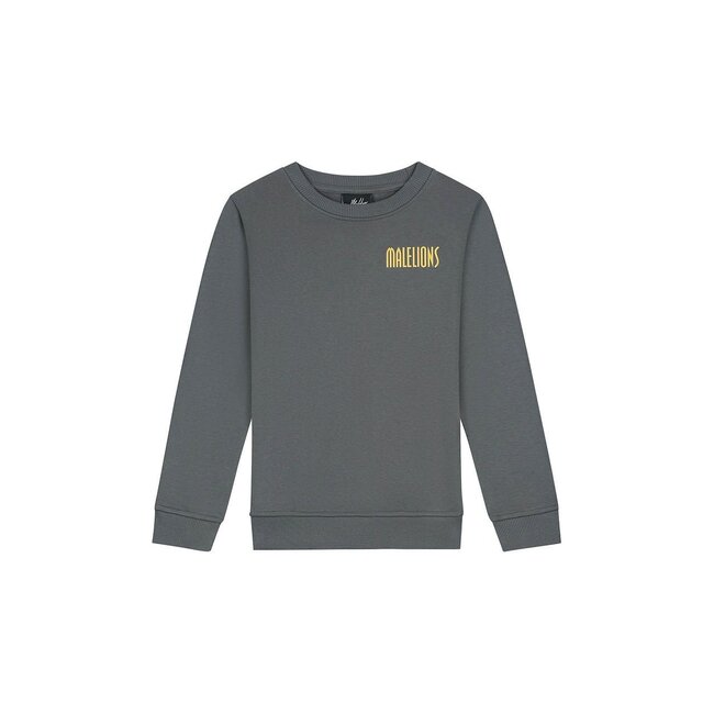 Malelions winter sweater jongens - grijs - hollywood map