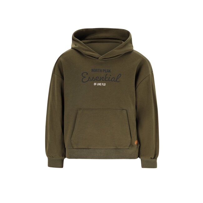Like Flo winter hoodie jongens - groen - Dail
