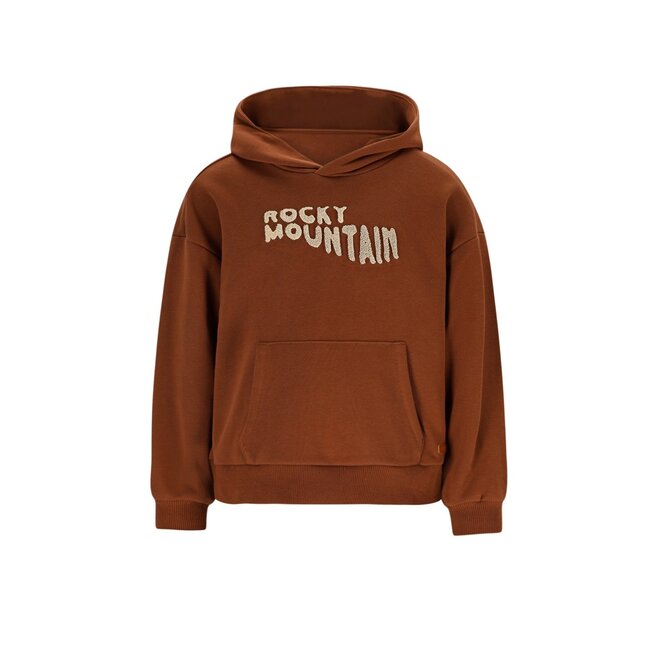 Like Flo winter hoodie jongens - bruin - Dail
