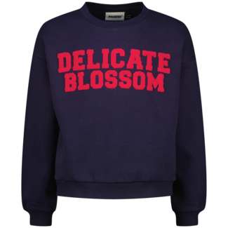 Raizzed zomer sweater meisjes - blauw - Sem