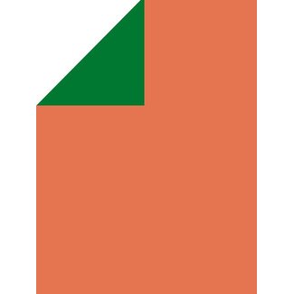 Ecokraft  Green/Terra einfarbiges Geschenkpapier