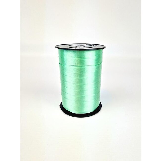 Laatste voorraad Op=Op Polyband mintgroen lint nr. 59