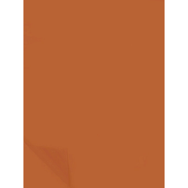Burnt Orange vloeipapier