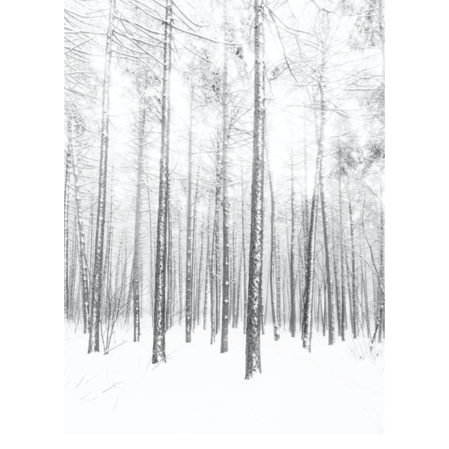 Cabin View tissuepaper