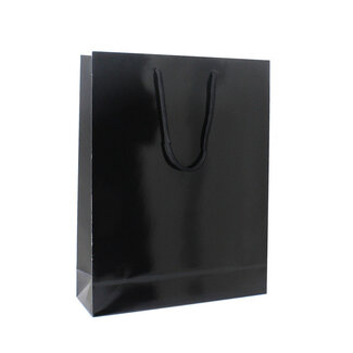 High-gloss black carrying case
