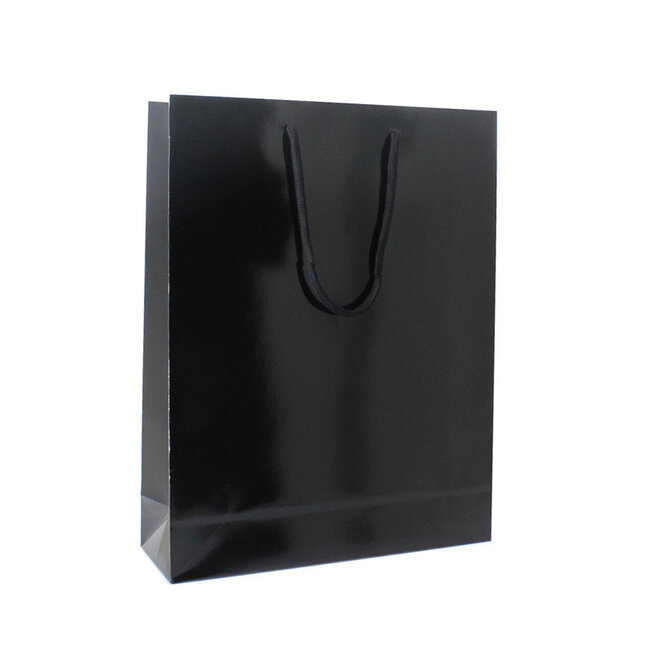 High-gloss black carrying case