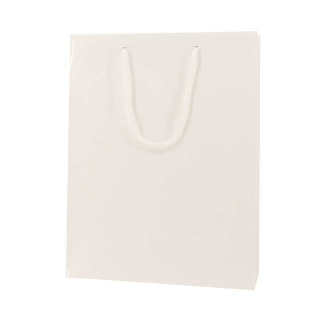 High-gloss white carrying case