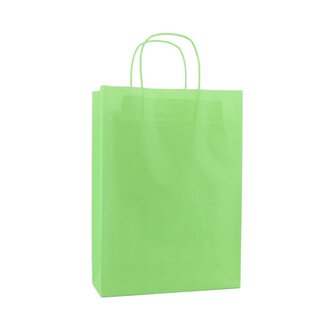 Paper Twisted luxury carrier bags + bottom cardboard aqua green