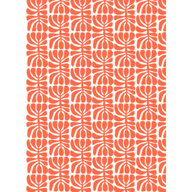 Pflanzen HollŠndisches Orangengeschenkpapier