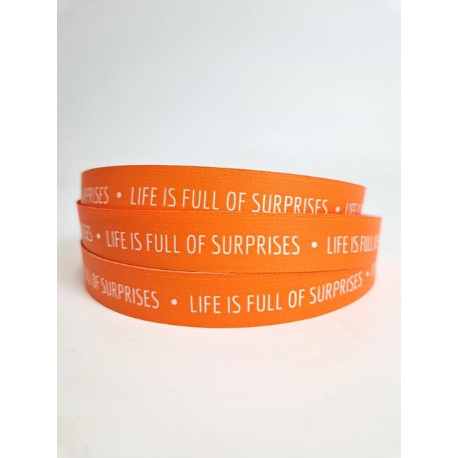 Life is full of surprises lin