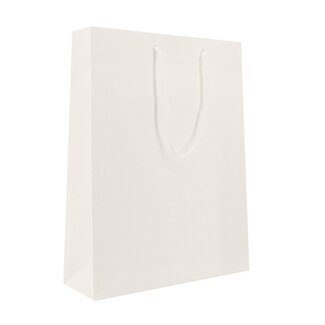 Luxury paper carrier bags kraft white