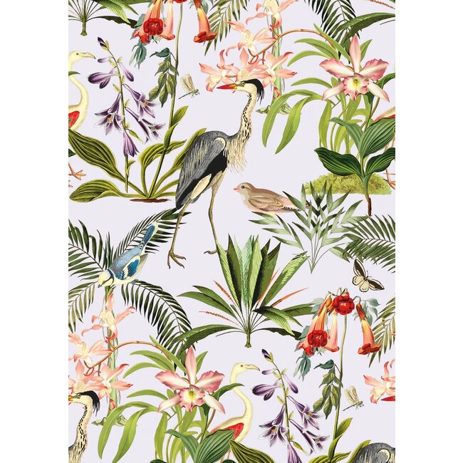 Tropica geschenkpapier