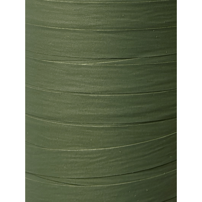 Paporlene lint 10mm geel/groen