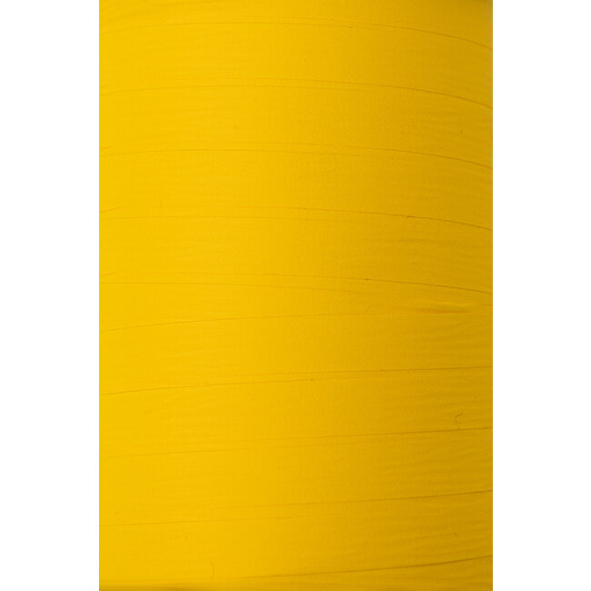 Paporlene ribbon 10mm yellow/green