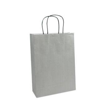 Paper Twisted luxury carrier bags + bottom cardboard silver