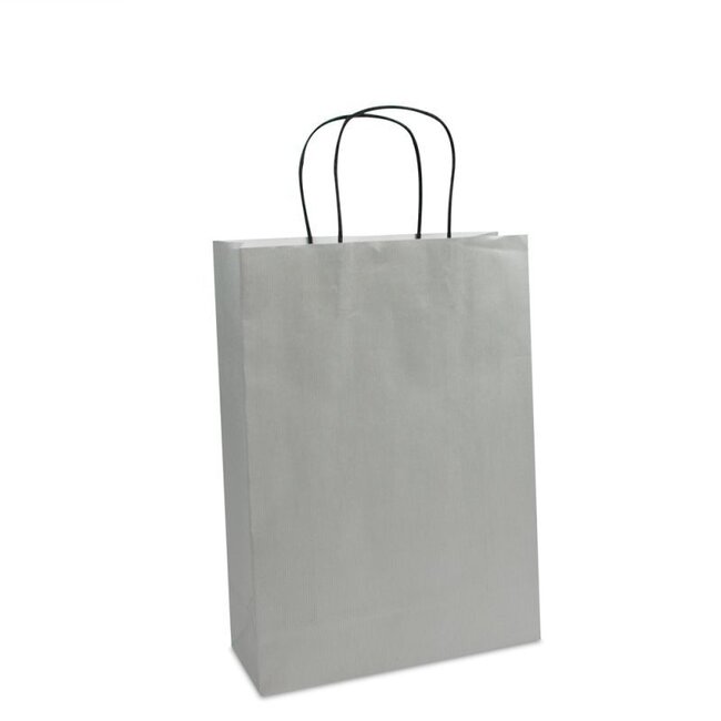 Paper Twisted luxury carrier bags + bottom cardboard silver