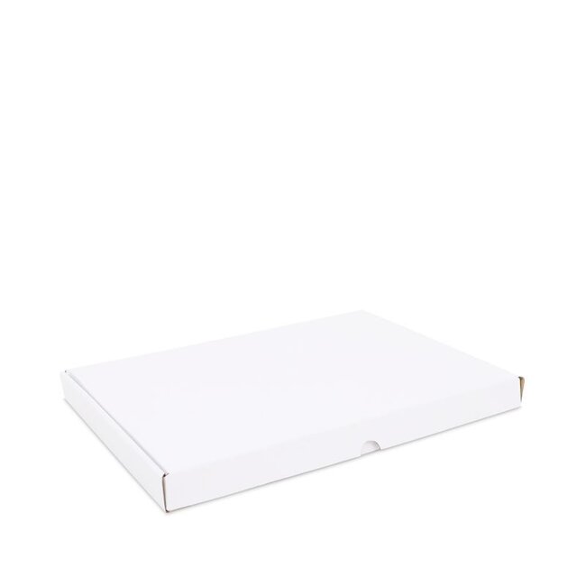 Versandkartons glänzend weiß (Briefkastenboxen)