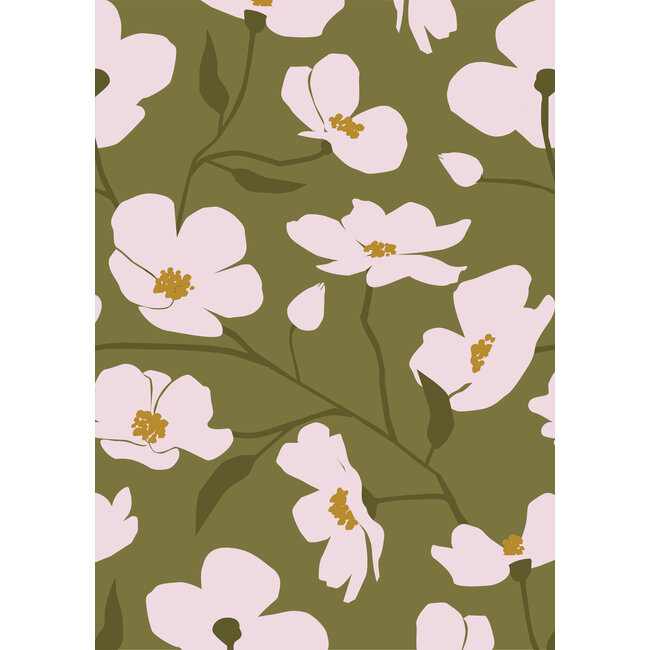 Cosmea mosgreen Geschenkpapier