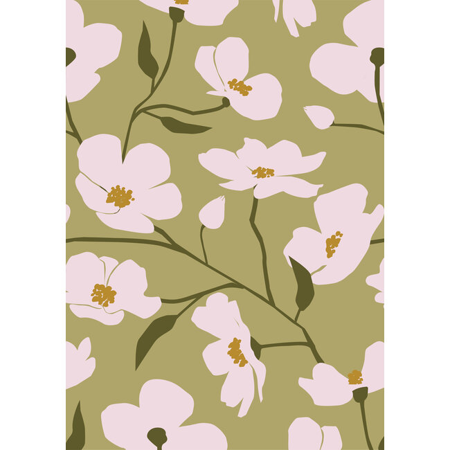 Cosmea mosgreen Geschenkpapier