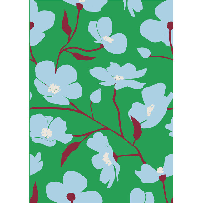 Cosmea grün/hellblau