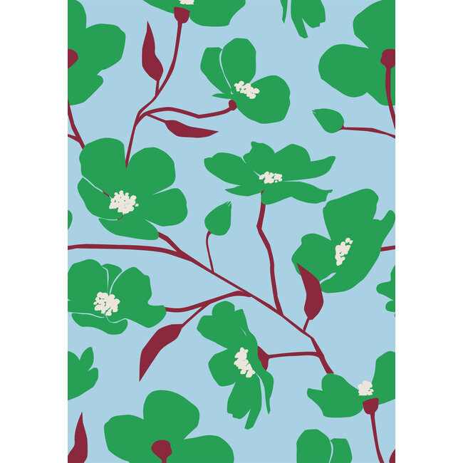 Cosmea green / light blue