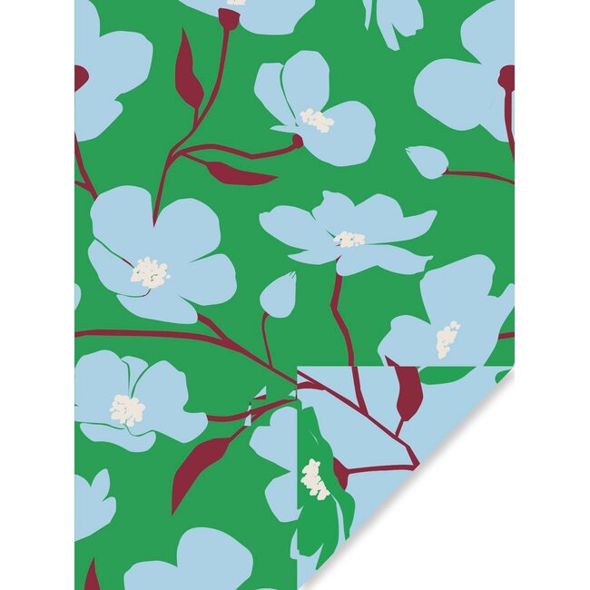 Cosmea green /light bleu