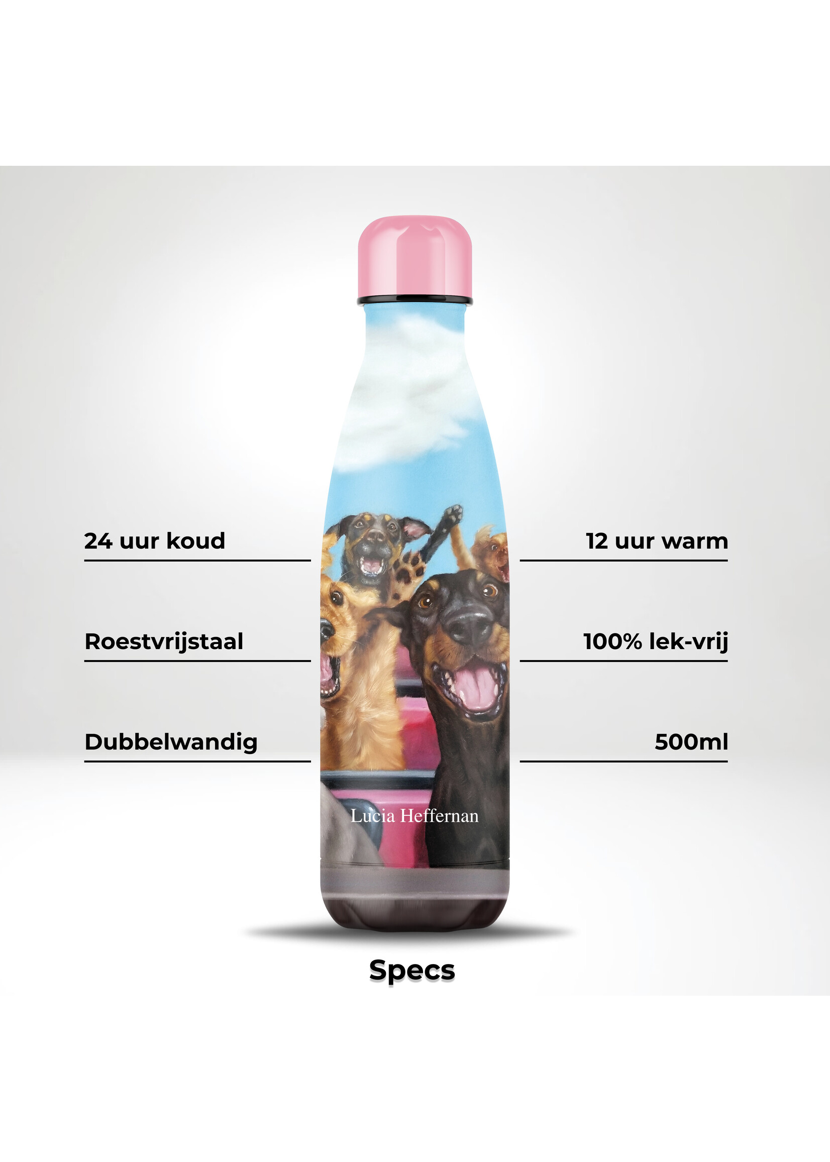 IZY Bottles IZY Bottle, Lucia Heffernan, 500ML, inox thermos bottle, giftbox