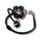 Stator Assy Magneto Lichtmaschine für Kayo 110 125 cc alte Version