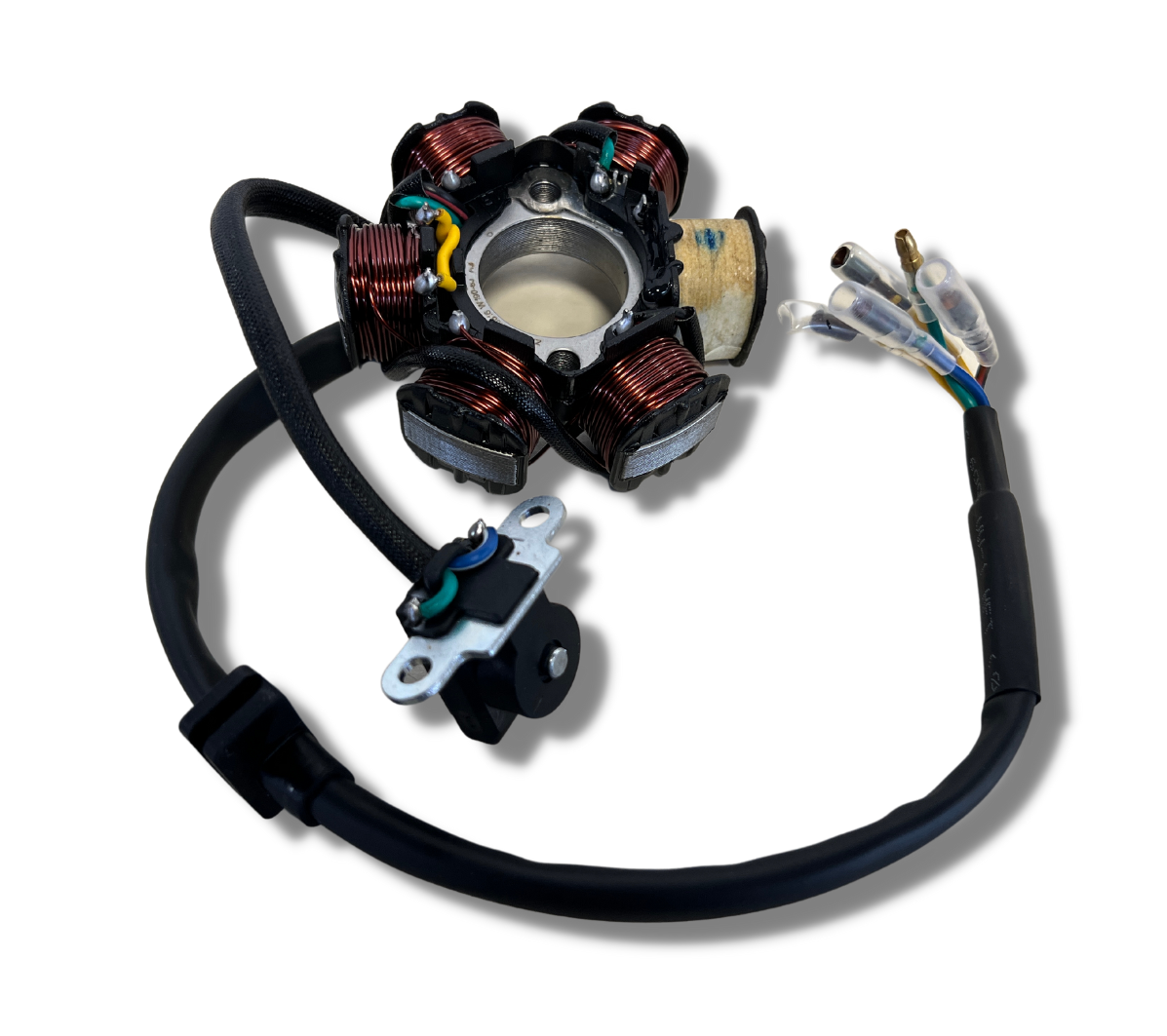 Kayo Stator Assy Magneto Lichtmaschine für Kayo 110 125 cc alte Version