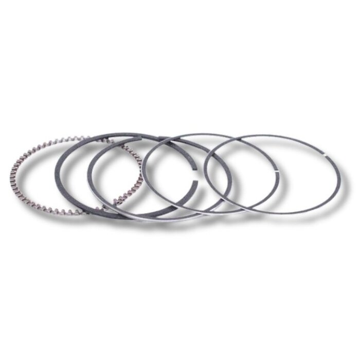 Kayo Kolpenringe passend für AT110