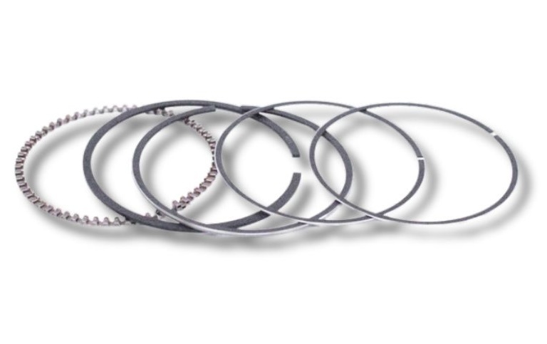 Kayo Kolpenringe passend für AT110