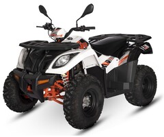 Kayo AU300 4x2 EFI Quad mit Strassenzulassung