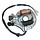 Stator Assy Magneto Lichtmaschine für Kayo TS70