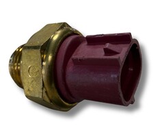 Kayo Thermostat für Kayo AU300