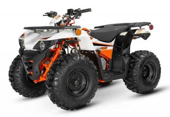 Kayo AU110 Utility Kinderquad Automatik