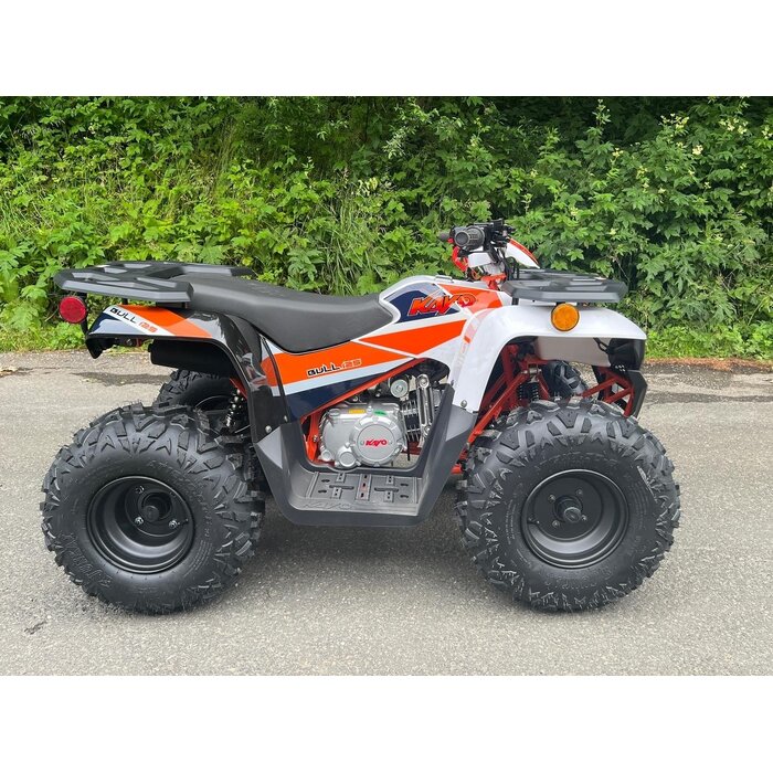 Kayo AU110 Utility Kinderquad Automatik