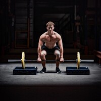 Crossmaxx® LMX85C Crossmaxx® Comp. bumper plate 50mm - coloured (10 - 25kg)