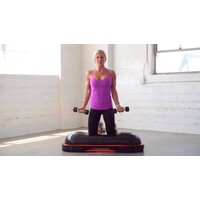 Vicore® LMX2109 Terra-Core® Rack