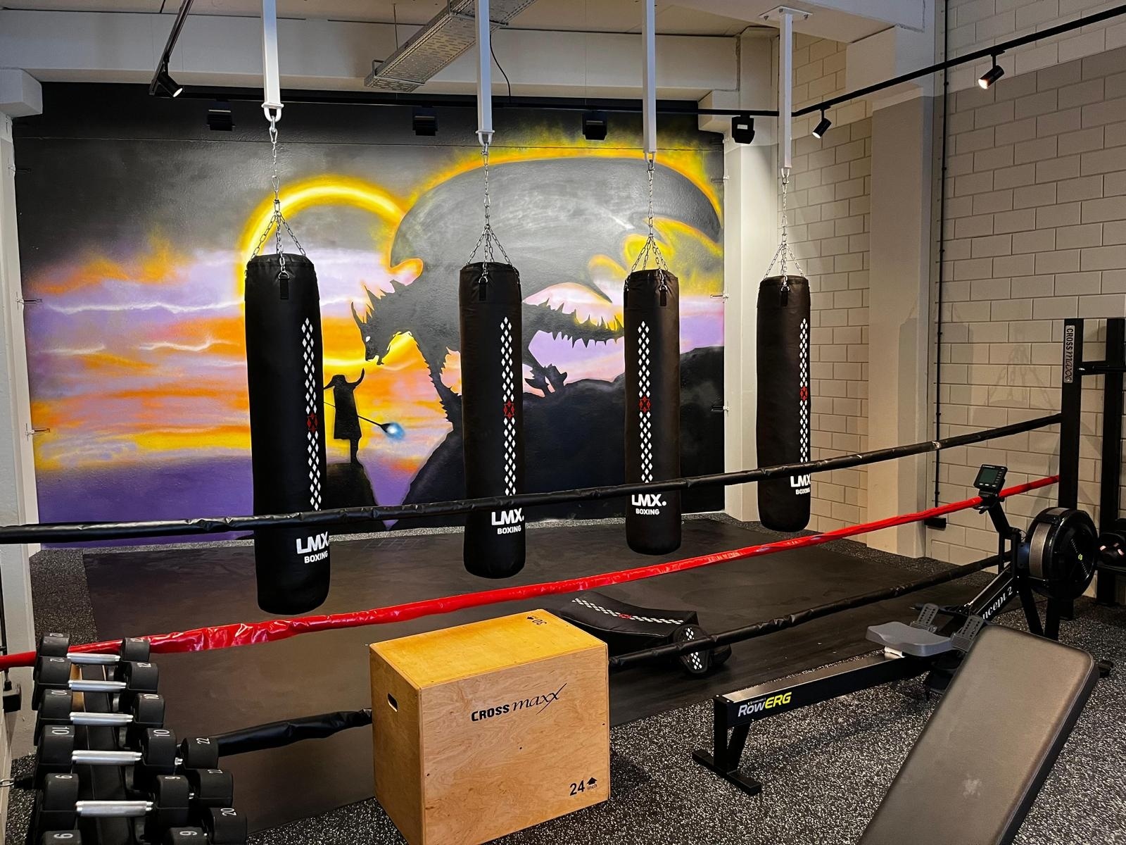 Gymdesign Private gym