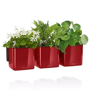 CUBE Glossy Green Wall Home Kit