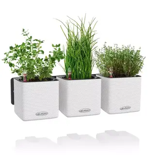 CUBE Color Green Wall Home Kit