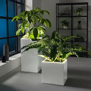 CANTO Premium 40 high | low LED