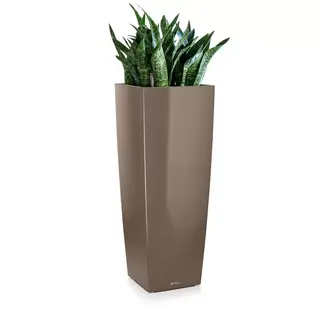 CUBICO Premium Alto