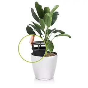 CLASSICO Color LS 21 | 28 | 35 | 43 CLASSICO Color LS 21 | 28 | 35 | 43