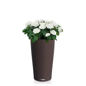 CILINDRO Cottage CILINDRO Cottage