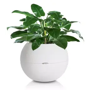 PURO Color 50 PURO Color 50