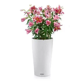 CILINDRO Color 23 | 32 CILINDRO Color 23 | 32