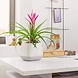 LECHUZA Pot de fleurs YULA blanc/gris soie mat LECHUZA Pot de fleurs YULA blanc/gris soie mat