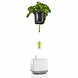 LECHUZA Pot de fleurs YULA blanc/gris soie mat LECHUZA Pot de fleurs YULA blanc/gris soie mat